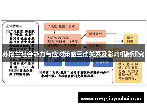苏格兰社会能力与应对策略互动关系及影响机制研究