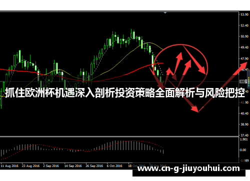抓住欧洲杯机遇深入剖析投资策略全面解析与风险把控 抓住欧洲杯机遇深入剖析投资策略全面解析与风险把控