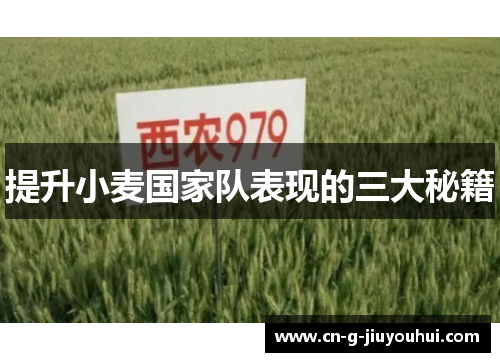 提升小麦国家队表现的三大秘籍 提升小麦国家队表现的三大秘籍